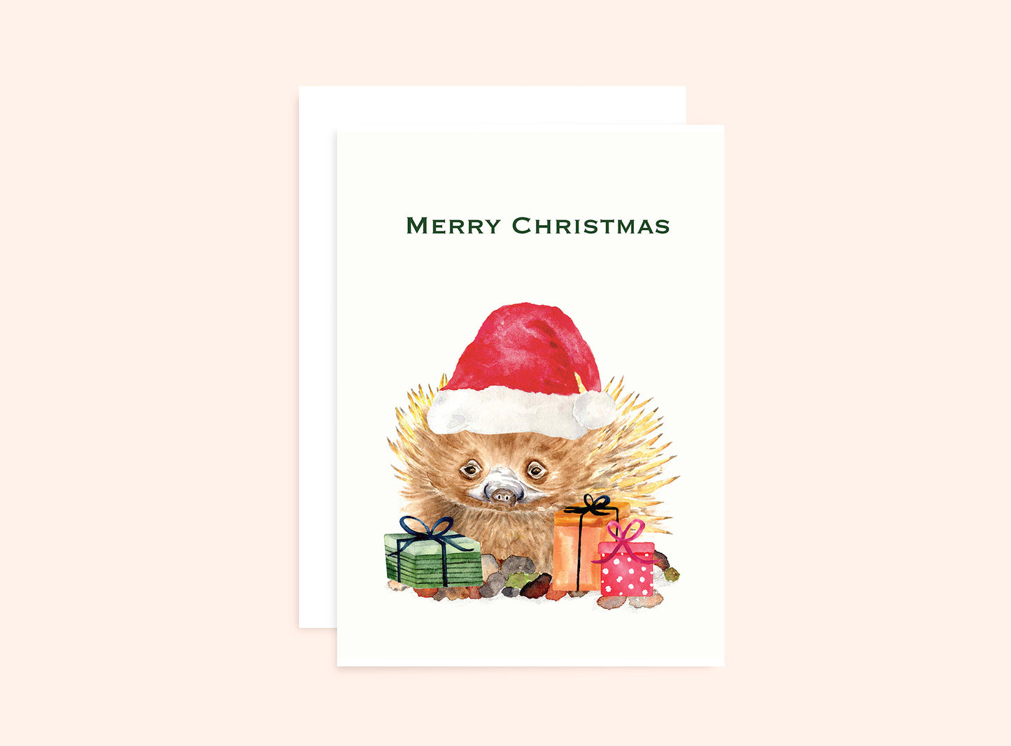 Christmas Echidna Card