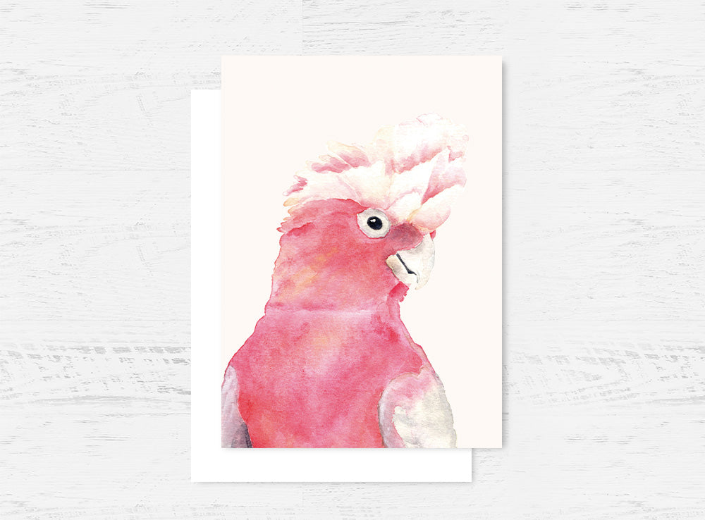 Pink Galah Cockatoo Card