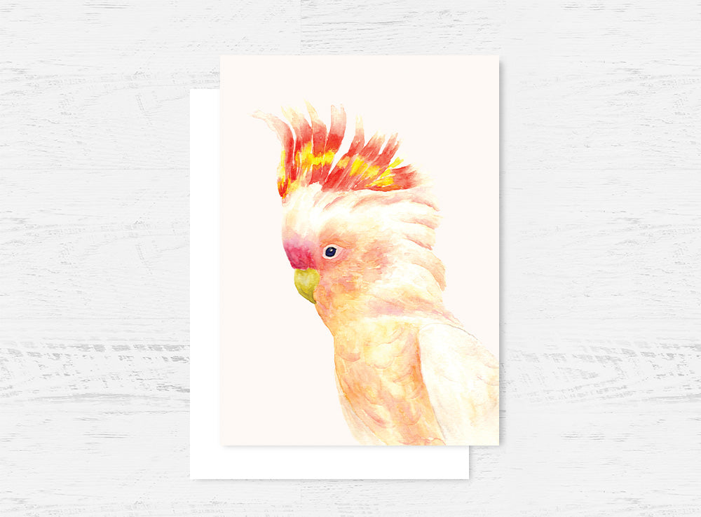 Major Mitchell's Cockatoo Card