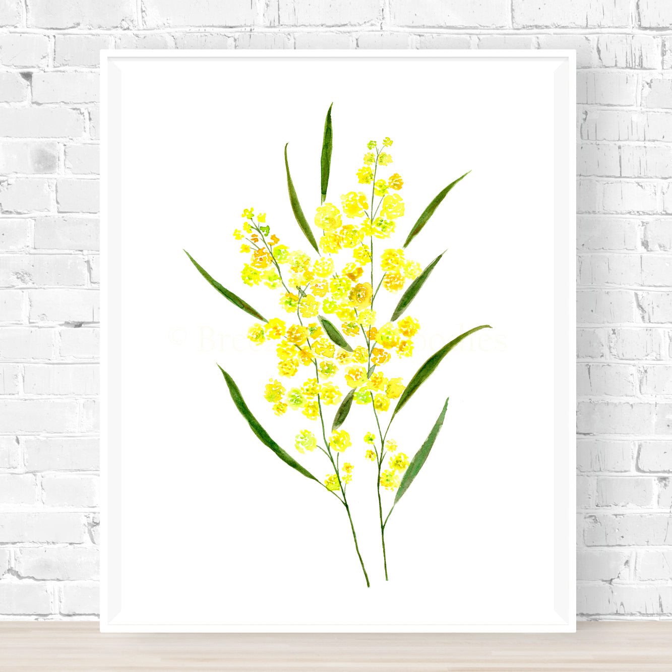 Golden Wattle Archival Print Wholesale (AP-GW)