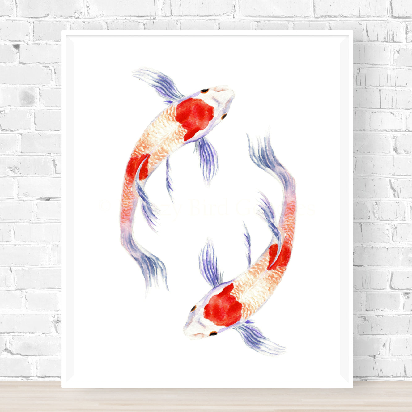 Circling Koi Fish