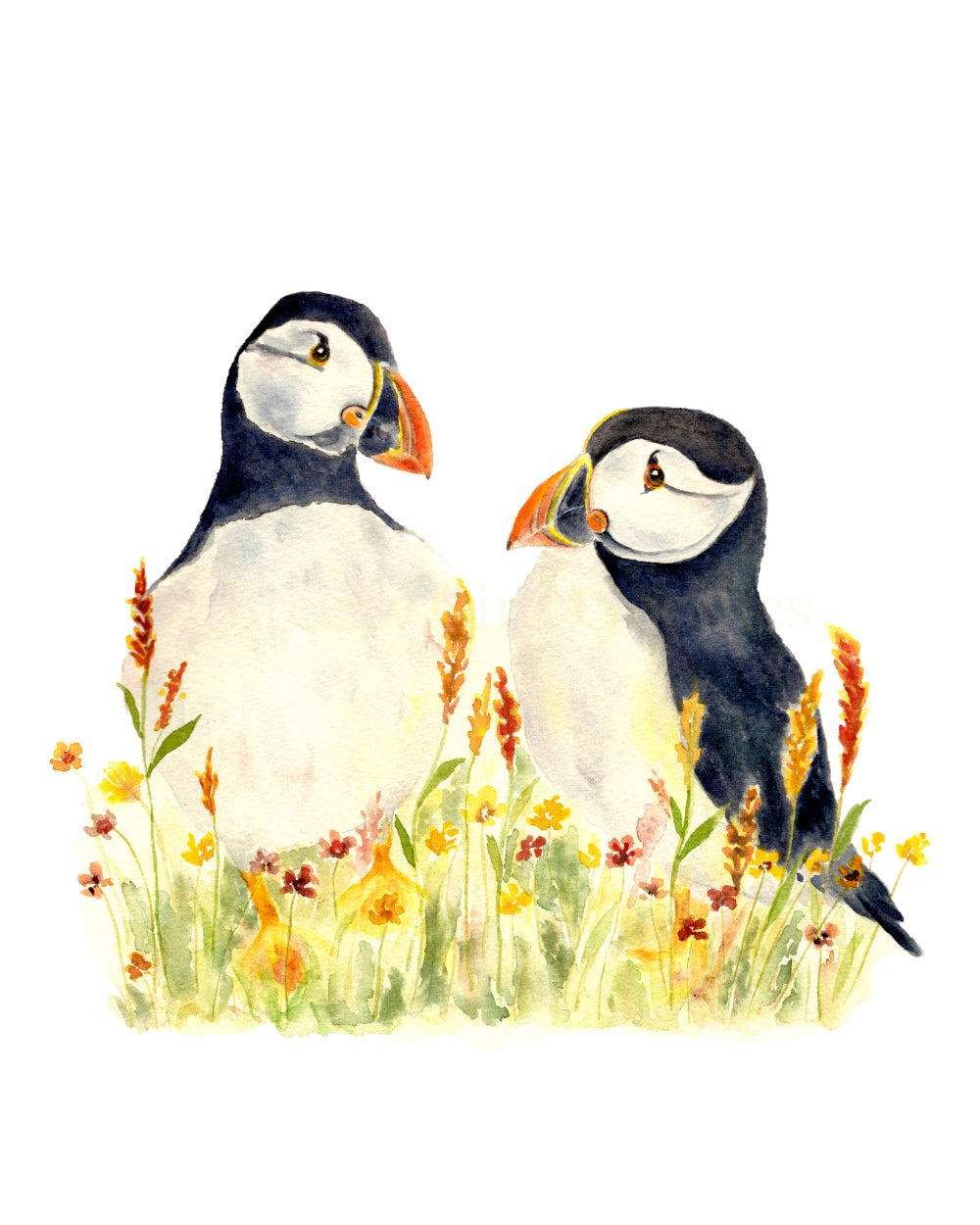 Puffin Pair
