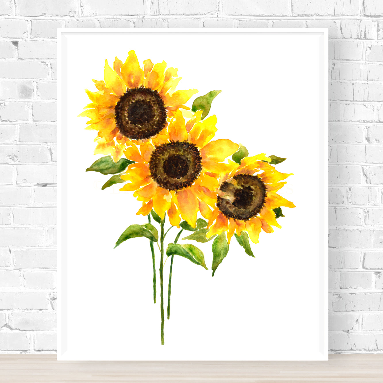 Amazing Sunflowers