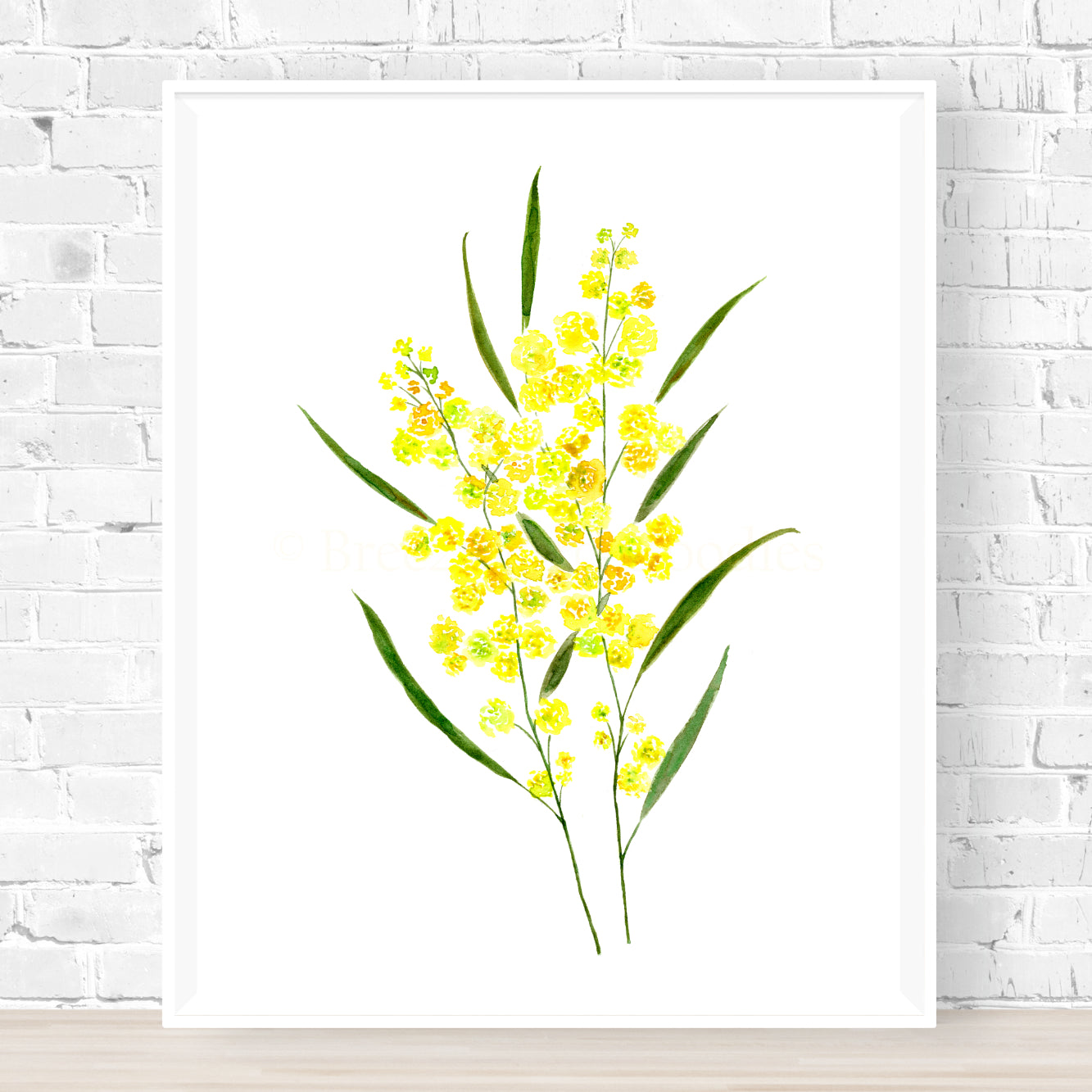 Golden Wattle