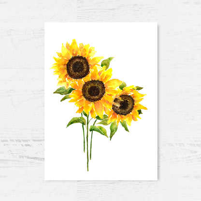 Amazing Sunflowers Art Print