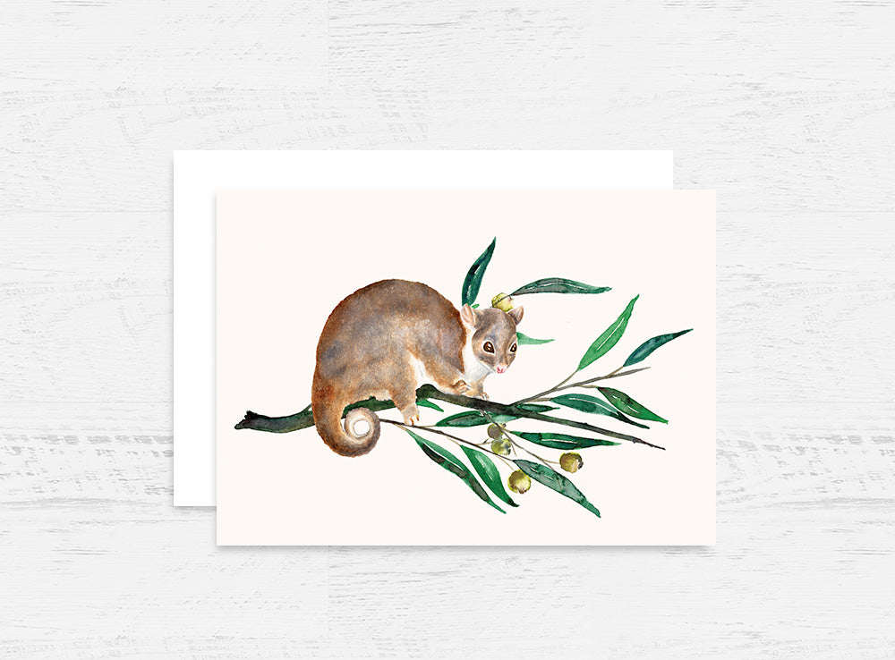 Ringtail Possum Greeting Card Wholesale (GC-RTPS)