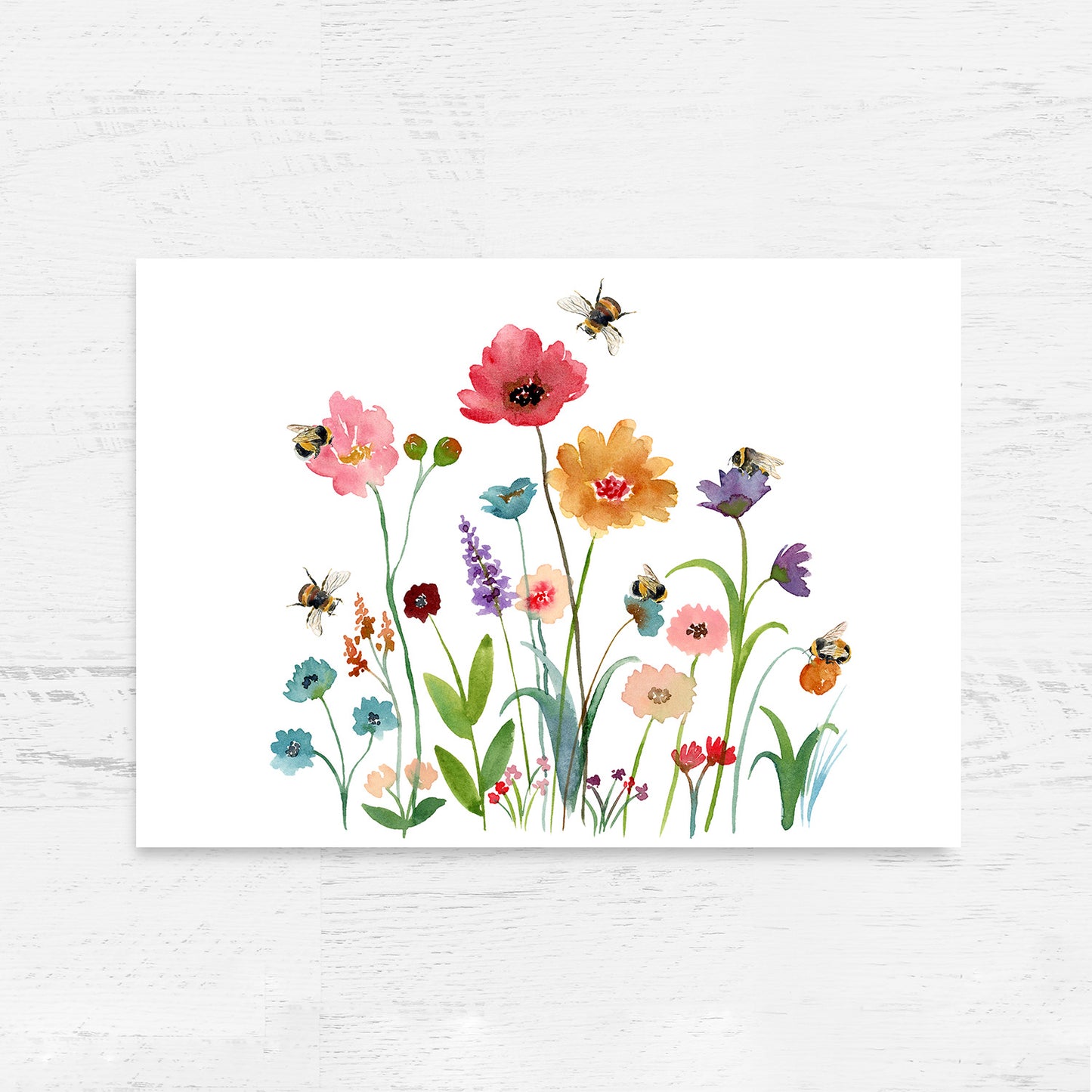 Enchanting Nature Trio Collection - Limited Edition Art Print