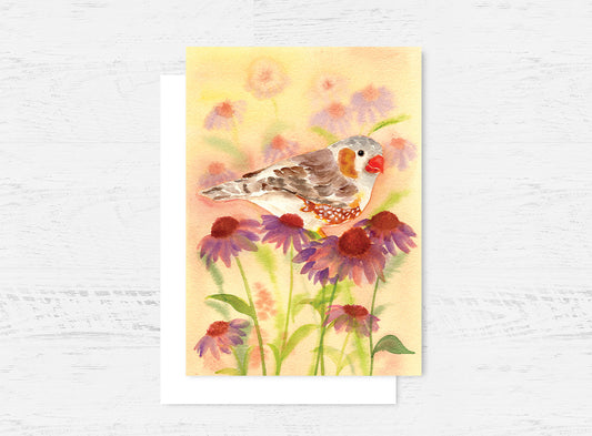 Zebra Finch Card