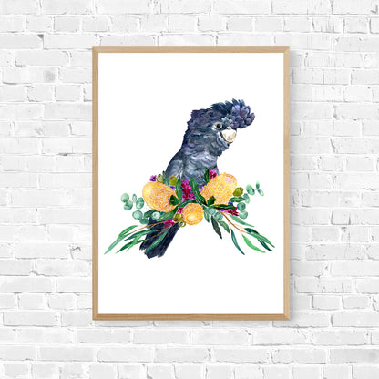 Black Cockatoo Art Print