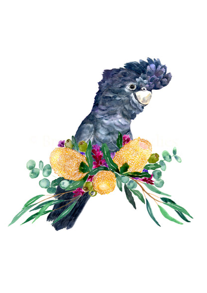 Black Cockatoo Archival Print Wholesale (APOE-BKC)