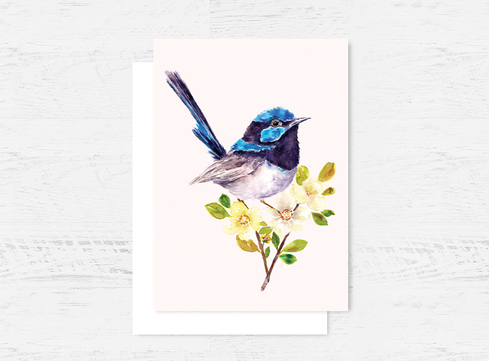 Blue Wren Greeting Card Wholesale (GC-BW)