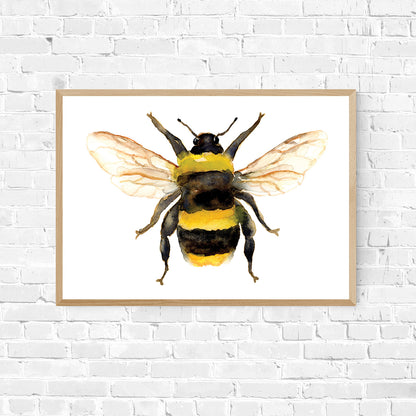 Single Bee - Archival Print Wholesale (APOE-SB)