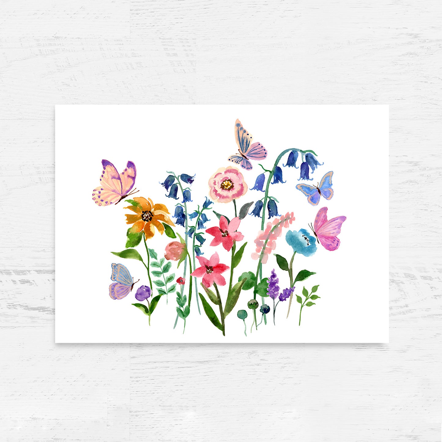 Enchanting Nature Trio Collection - Limited Edition Art Print