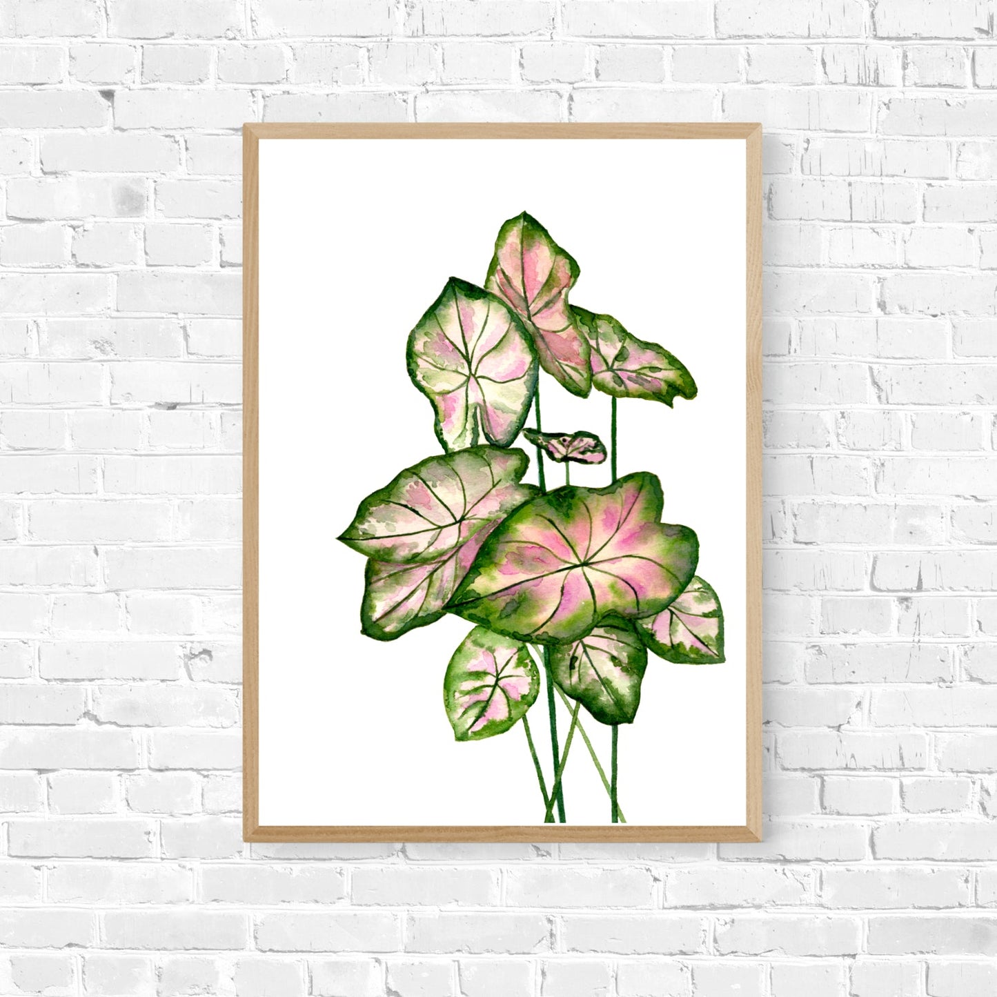 Colourful Leaves Collection - Limited Edition Archival Print Wholesale