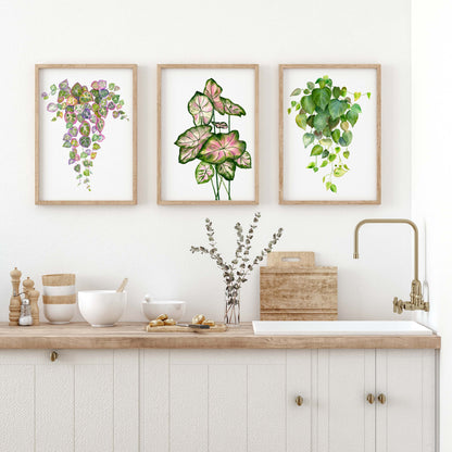 Colourful Leaves Collection - Limited Edition Art Print