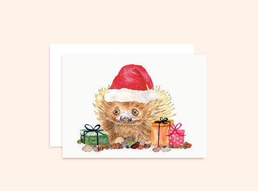Echidna Christmas Card Wholesale