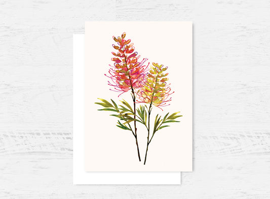 Glowing Grevillea Greeting Card Wholesale (GC-GGVL)