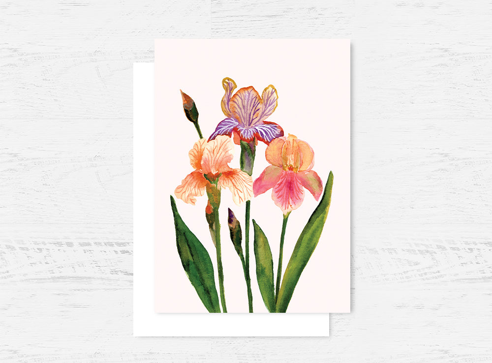 Iris Greeting Card Wholesale (GC-IRS)