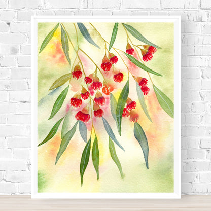 Red Flowering Gum Archival Print Wholesale (APOE-RFG)