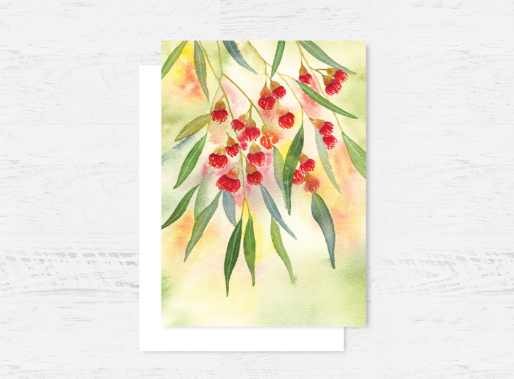 Red Flowering Gum Card