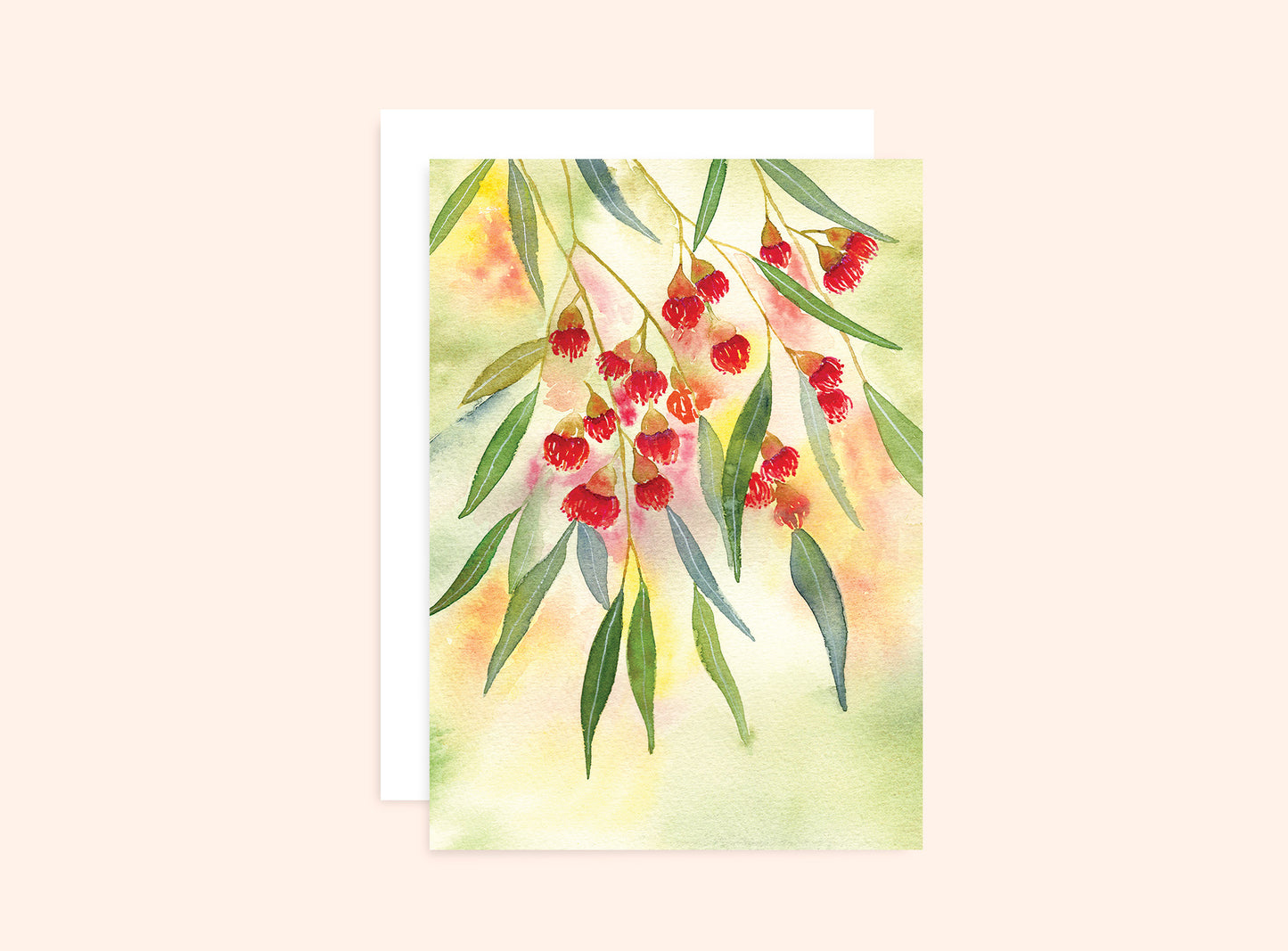 Red Flowering Gum Card