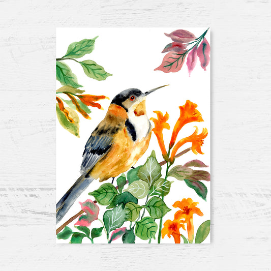 Whisper of the Honeyeater Art Print