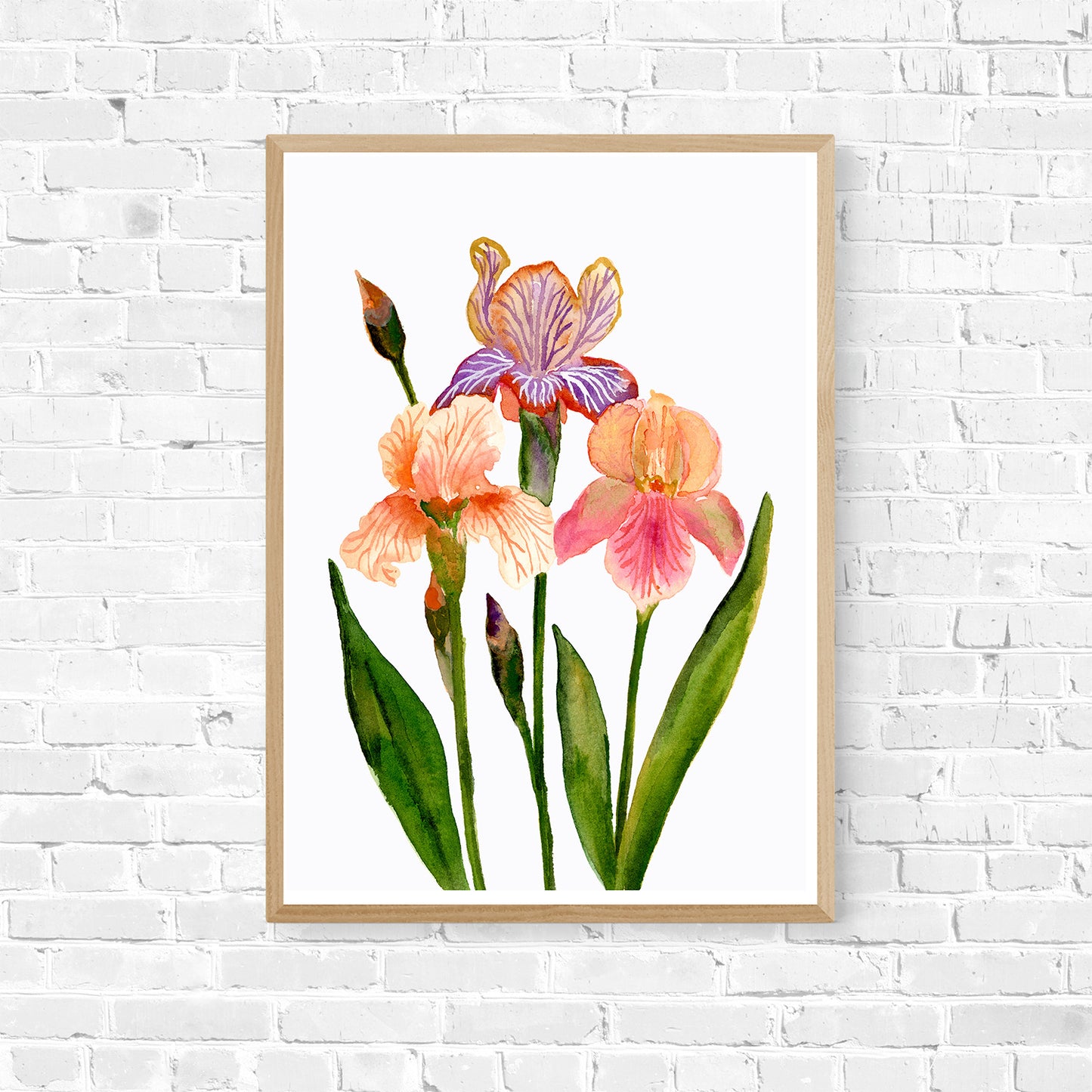 Elegant Iris Flowers Art Print