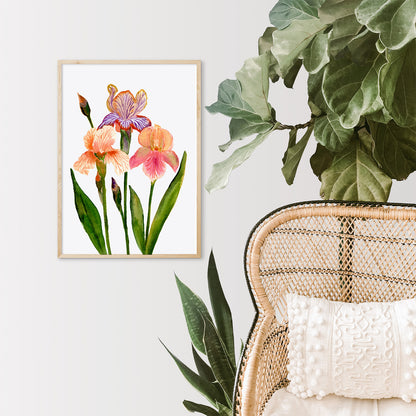 Elegant Iris Flowers Art Print