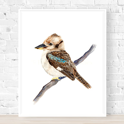 Kerry the Kookaburra Archival Print Wholesale (APOE-KK)