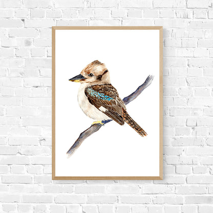 Kerry the Kookaburra Art Print