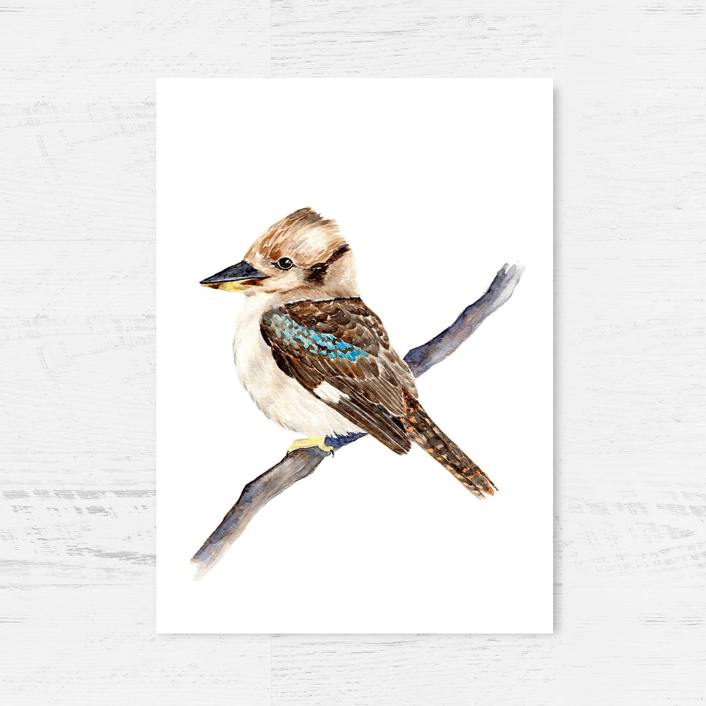 Kerry the Kookaburra Art Print