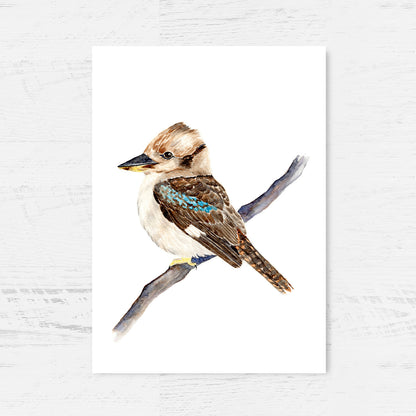 Kerry the Kookaburra Art Print