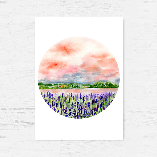 Shades of Lavender Archival Print Wholesale (AP-SOL)