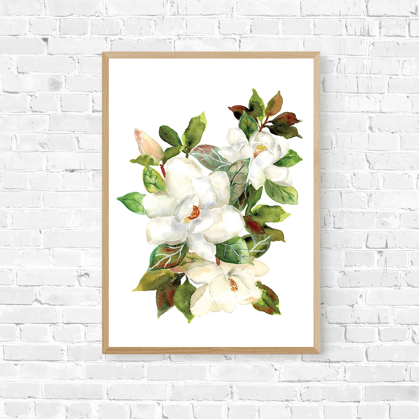 Magnificent Magnolia - Limited Edition Art Print