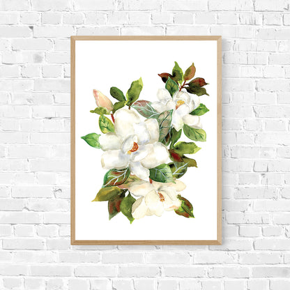 Magnificent Magnolia - Limited Edition Art Print