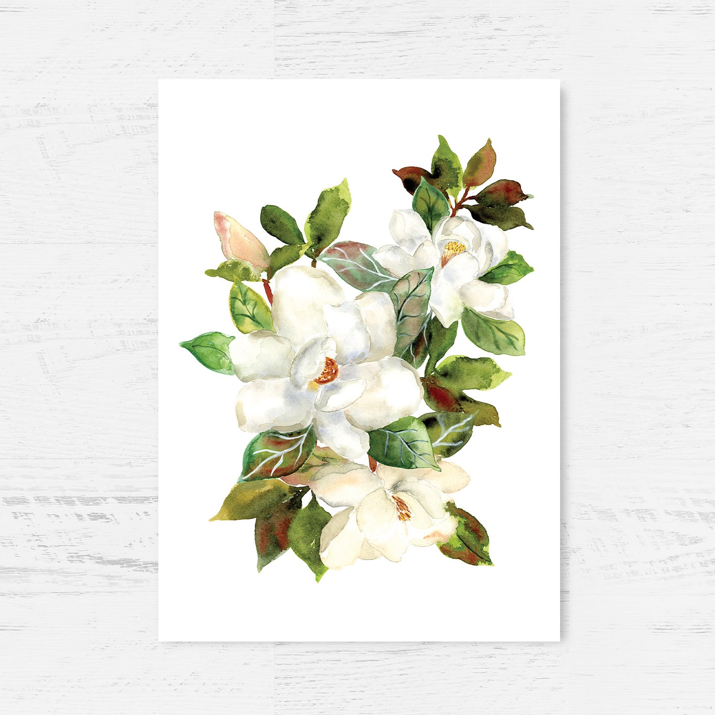 Magnificent Magnolia - Limited Edition Art Print