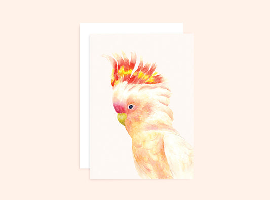 Major Mitchell's Cockatoo Greeting Card Wholesale