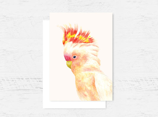 Major Mitchell's Cockatoo Greeting Card Wholesale (GC-MMC)