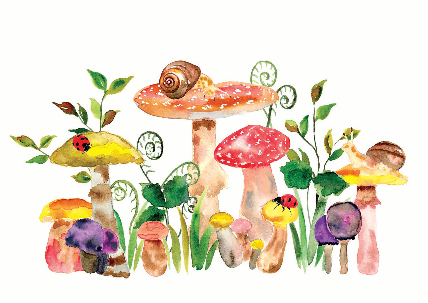 Mushroom Wonder - Limited Edition