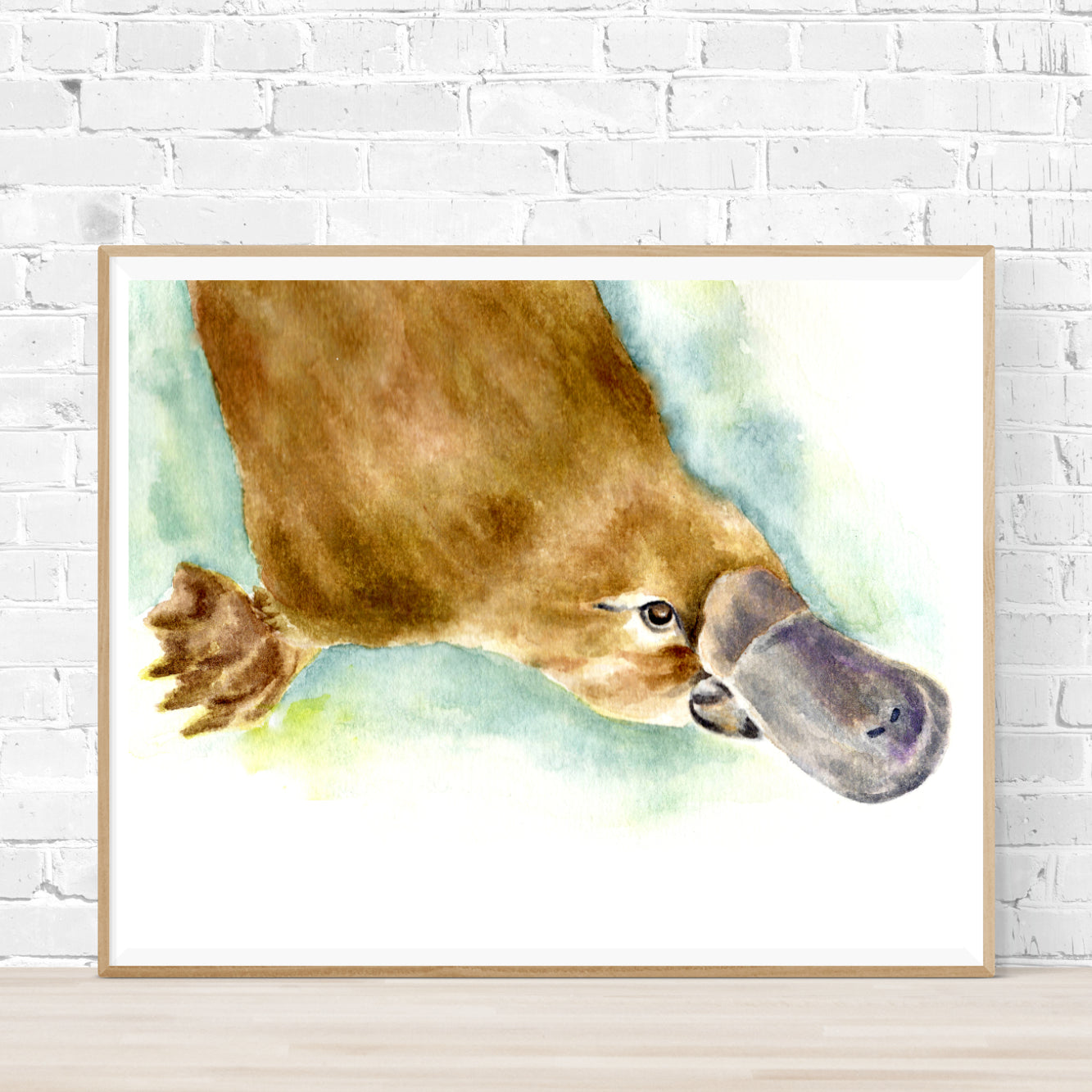 Dazzle the Platypus - Archival Print Wholesale (APOE-PLTP)