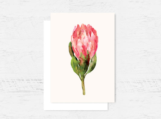 Protea Greeting Card Wholesale (GC-PP)