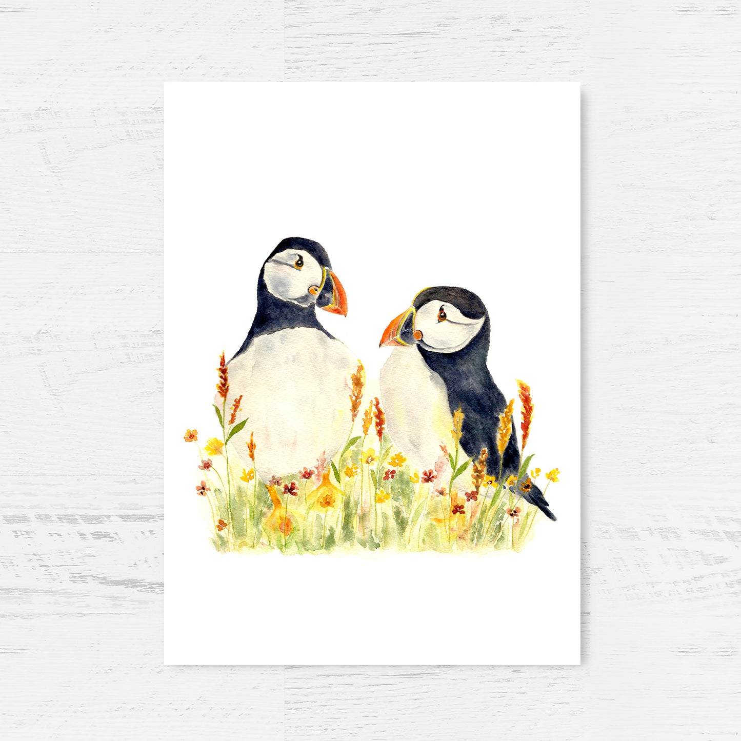 Puffin Pair Art Print