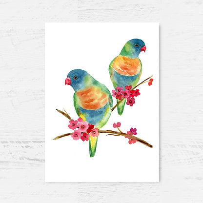 Colourful Duet Art Print