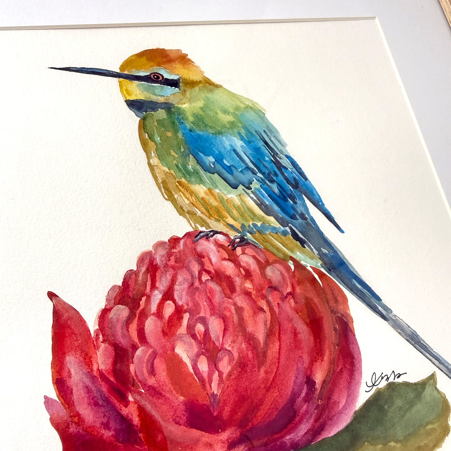 'Whispers on Waratah' Original Framed Painting