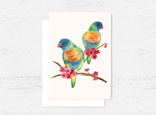 Rainbow Lorikeet Greeting Card Wholesale (GC-RLK)