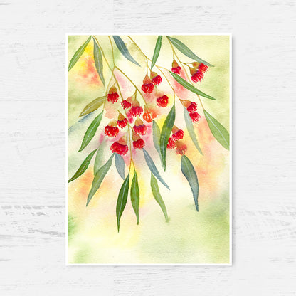 Red Flowering Gum Art Print