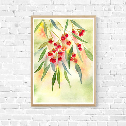 Red Flowering Gum Art Print