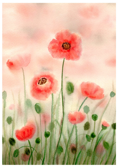 Dreamy Poppy Fields - Limited Edition Archival Print Wholesale (APLE-DPF)