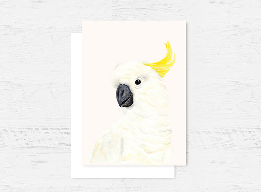 Sulphur-crested Cockatoo Greeting Card Wholesale (GC-SCC)