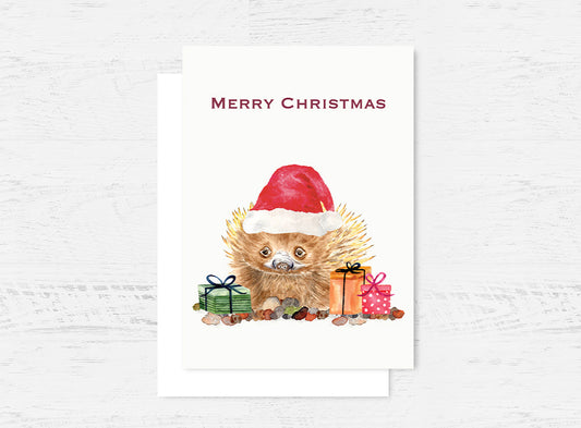 Christmas Echidna Card